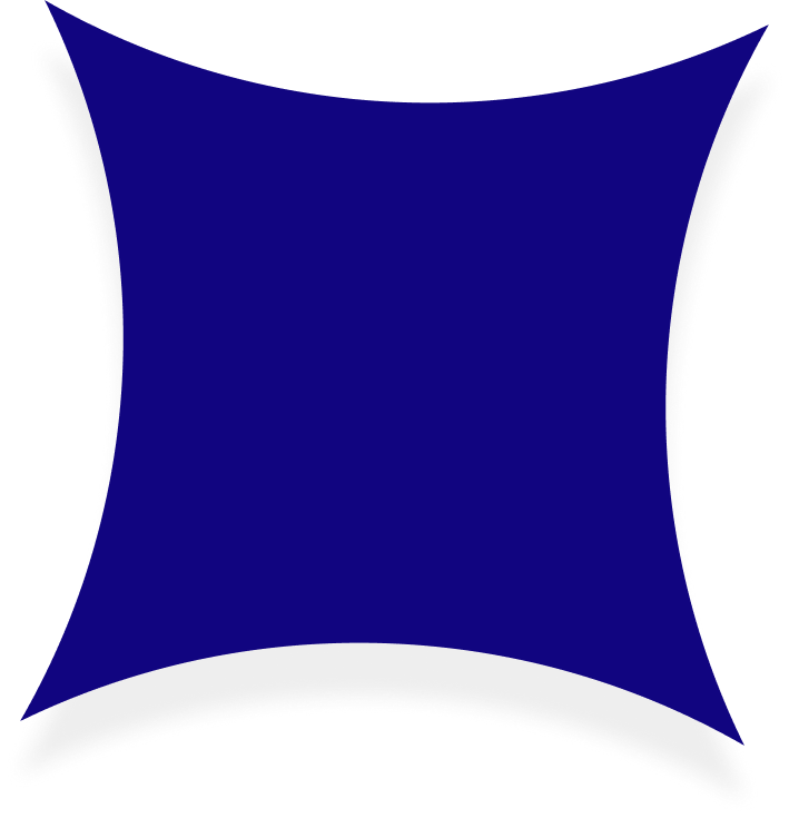 Korvesta Capital